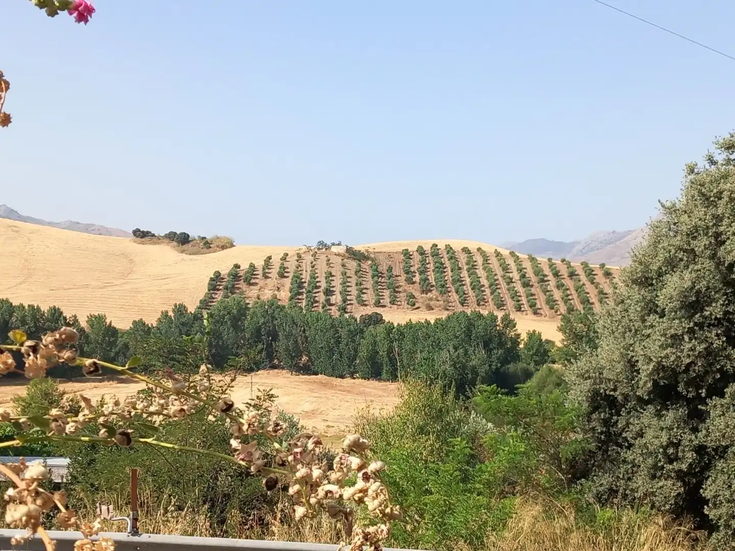 Finca rústica en venta en Ronda con Calefacción, Jardín privado y Trastero