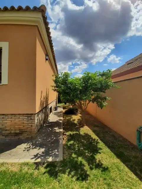 Chalet con terraza en venta en Calle Albacora, imagen 41