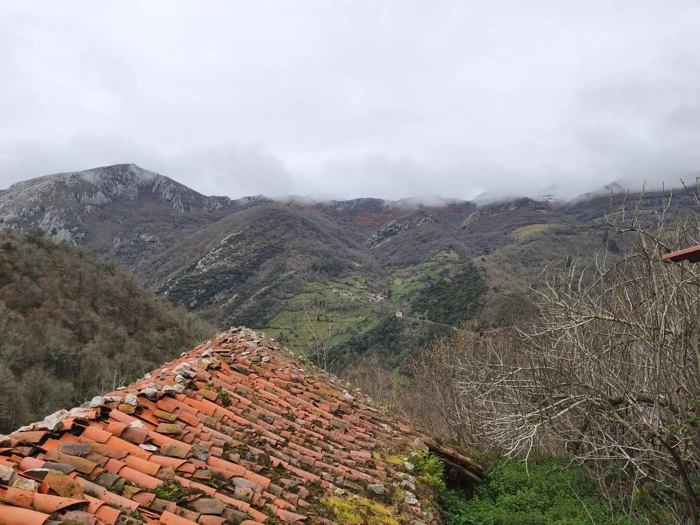 Vista exterior de Casa o chalet en venta en Proaza con Piscina