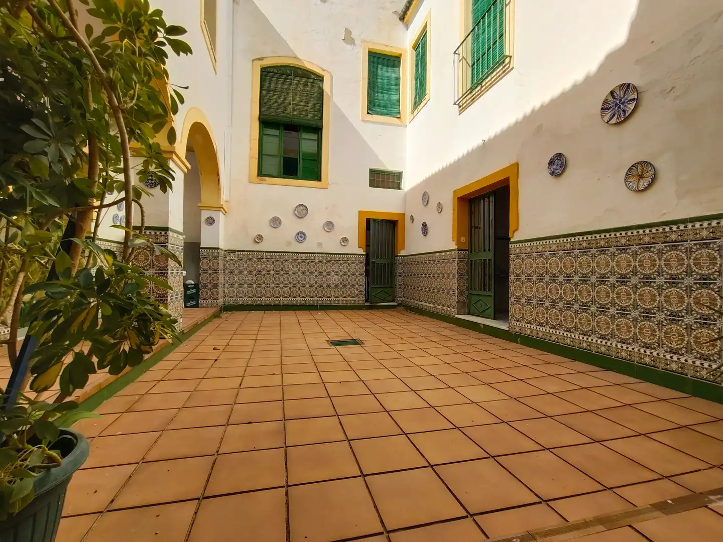 Garden of Country homes for sale in Priego de Córdoba  with Private garden, Terrace and Swimming Pool