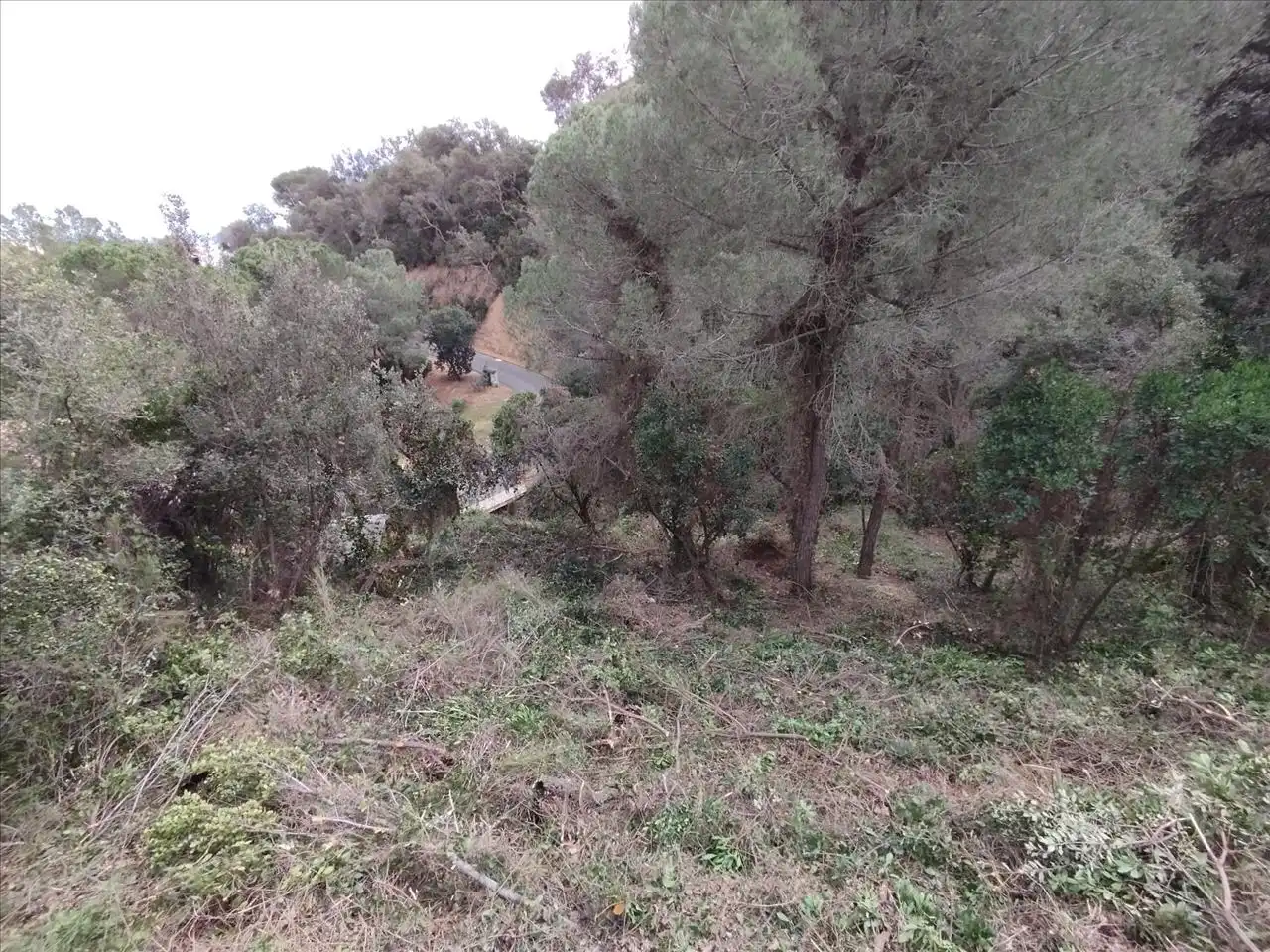 Residential for sale in Santa Cristina d'Aro