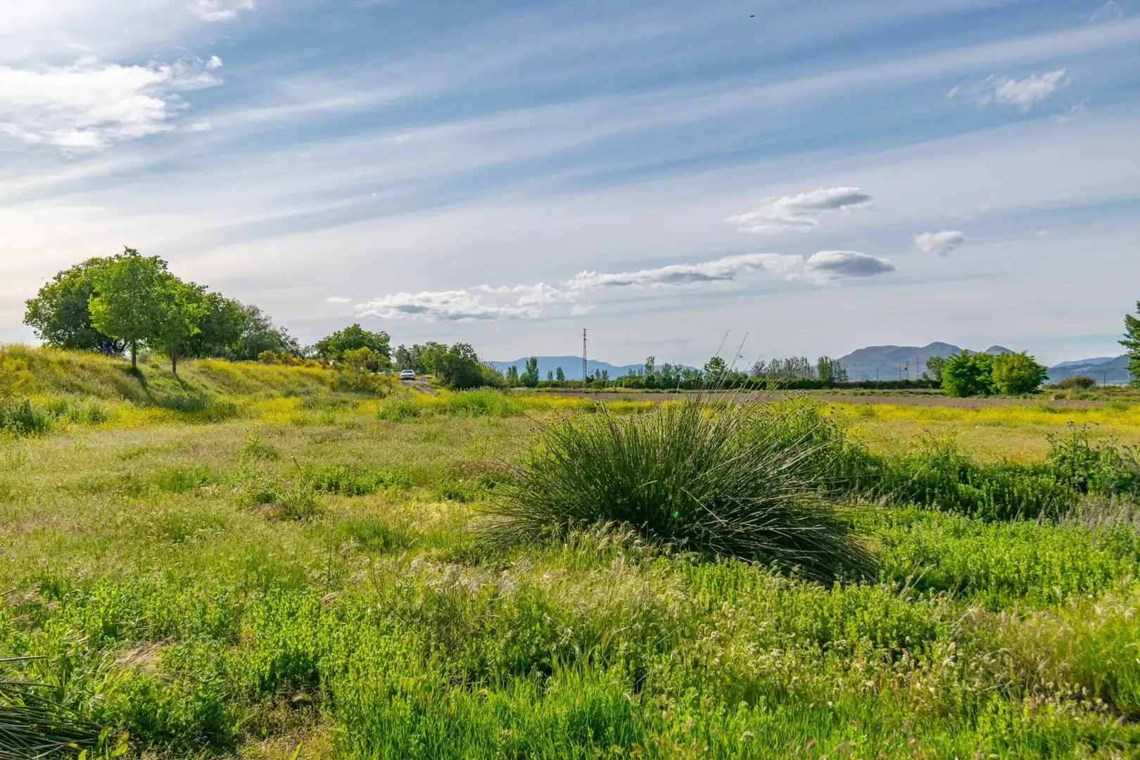 Lands and plots for sale in Polígono 9 Parcela 307 MARACHAT. GRANADA (GRANADA, imagen 27