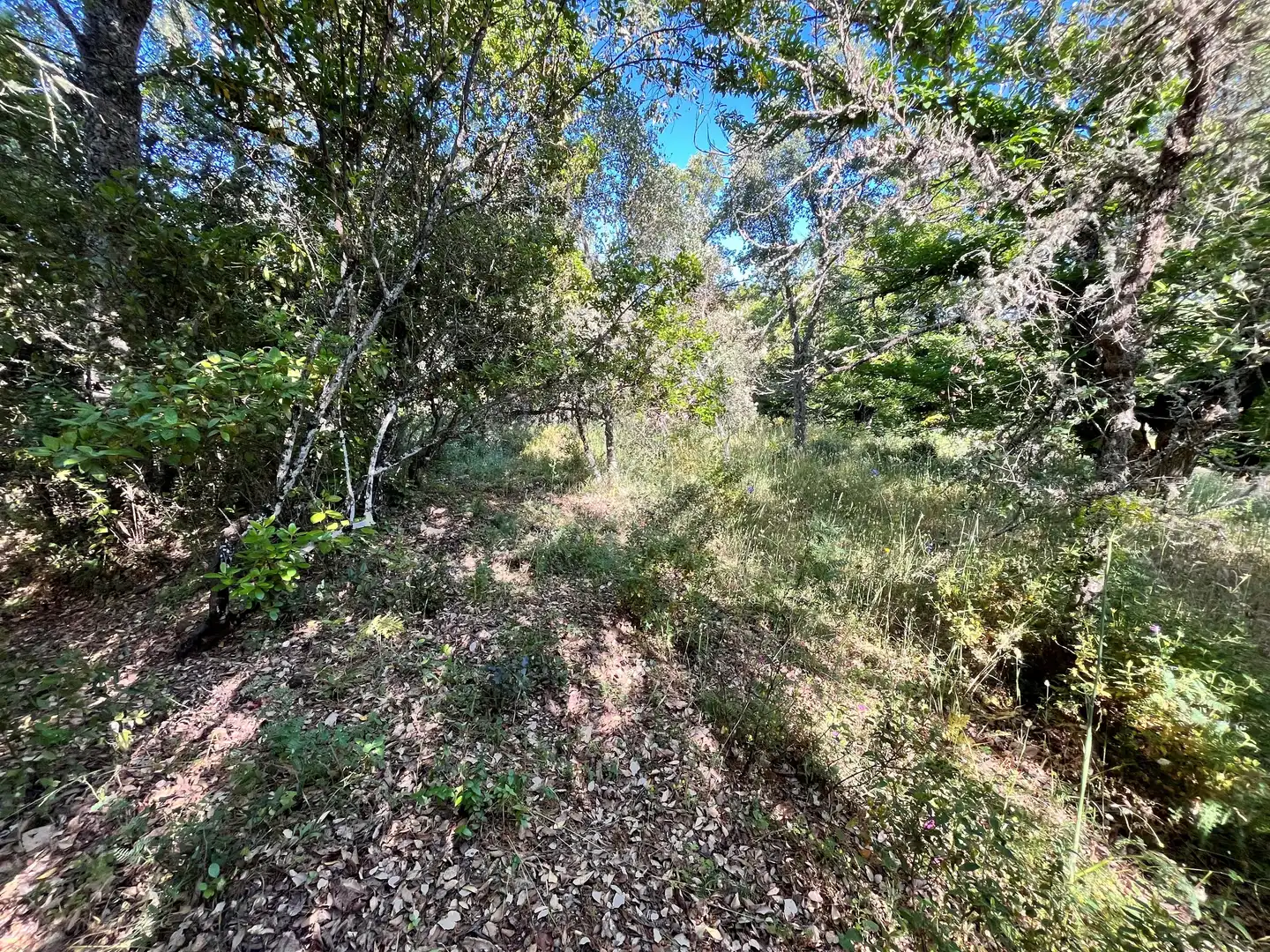 Residential for sale in Fuenteheridos