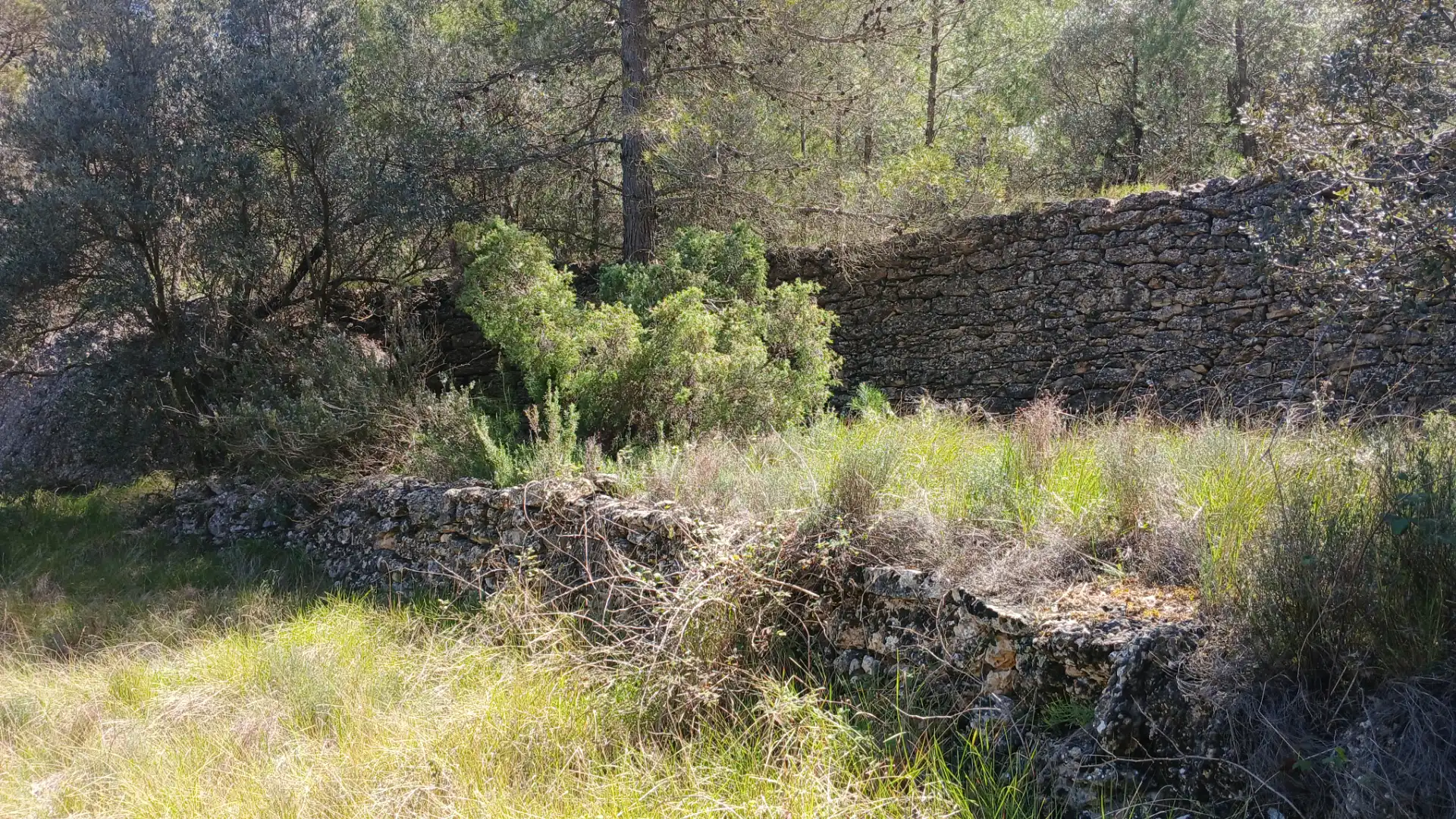 Terreno en venta en Fórnoles