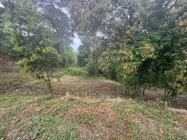Terreno rústico en venta en Urbanització Collsacreu 135, imagen 4