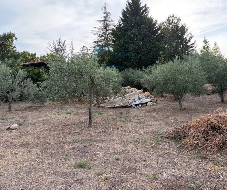 Terreno rústico en venta en Jarandilla de la Vera, imagen 20