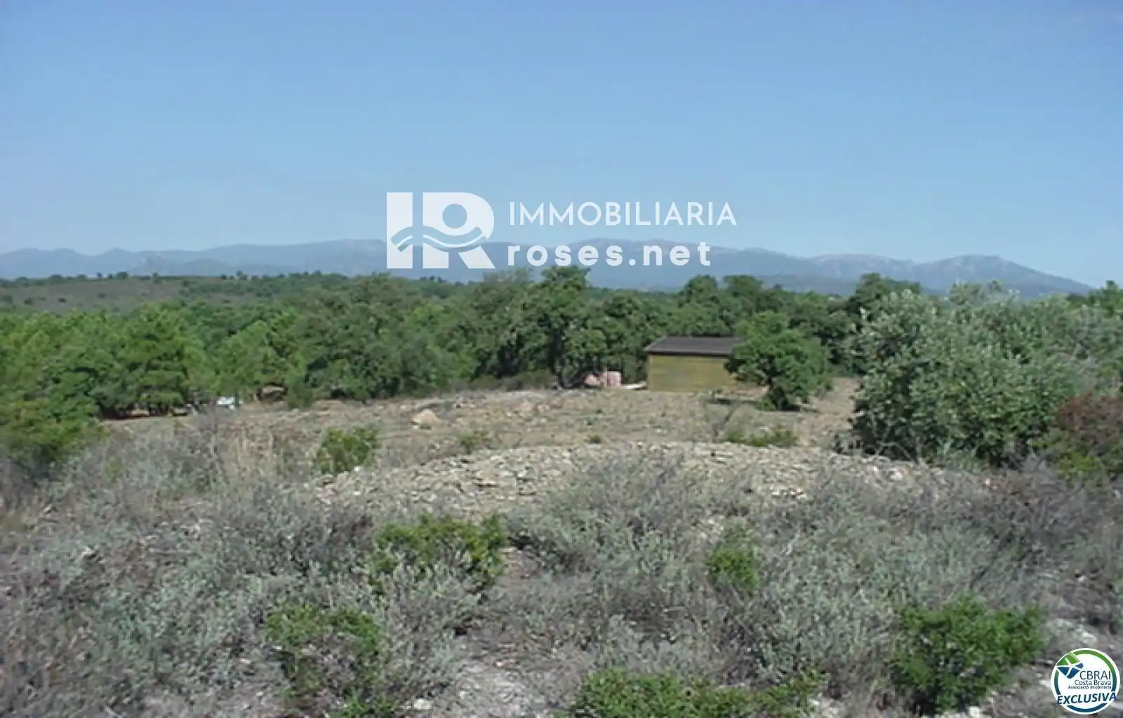 Rural land for sale in Butaros, imagen 18
