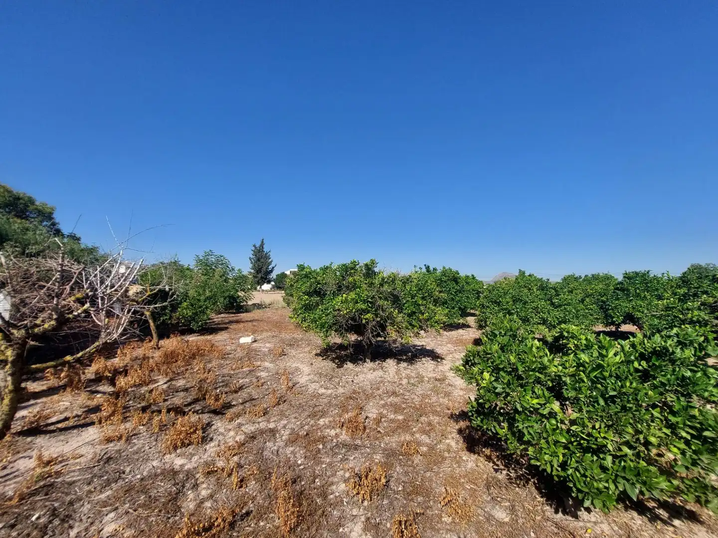 Country homes for sale in Murcia  with Private garden