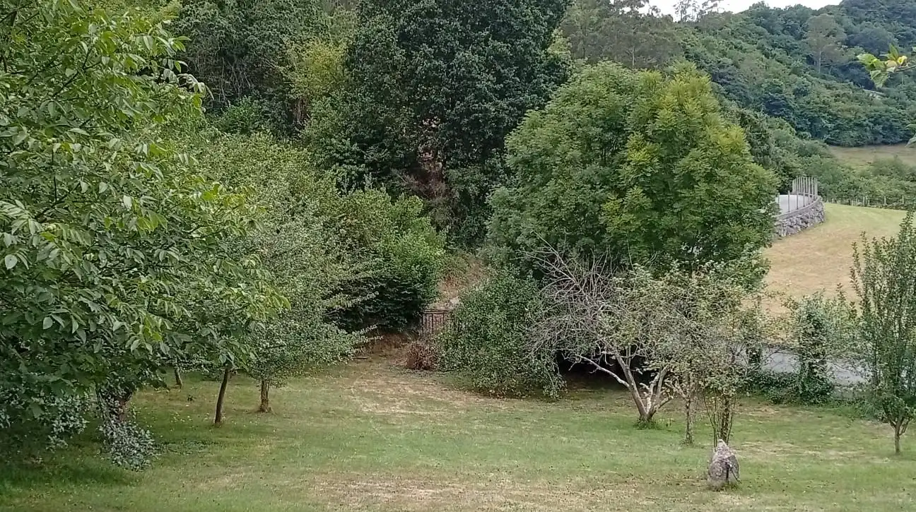 Terreny rústic en venda a Camín de la Xía 686, imagen 12
