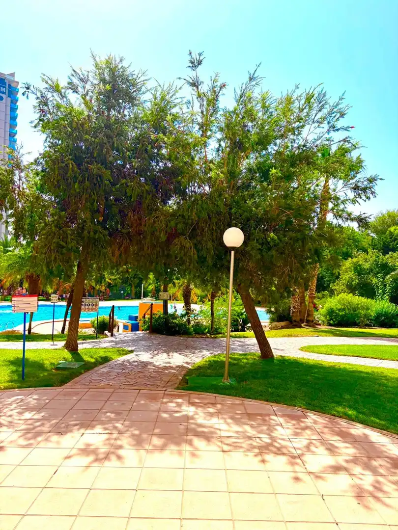 Flat with pool for sale in Playa de Poniente, imagen 17