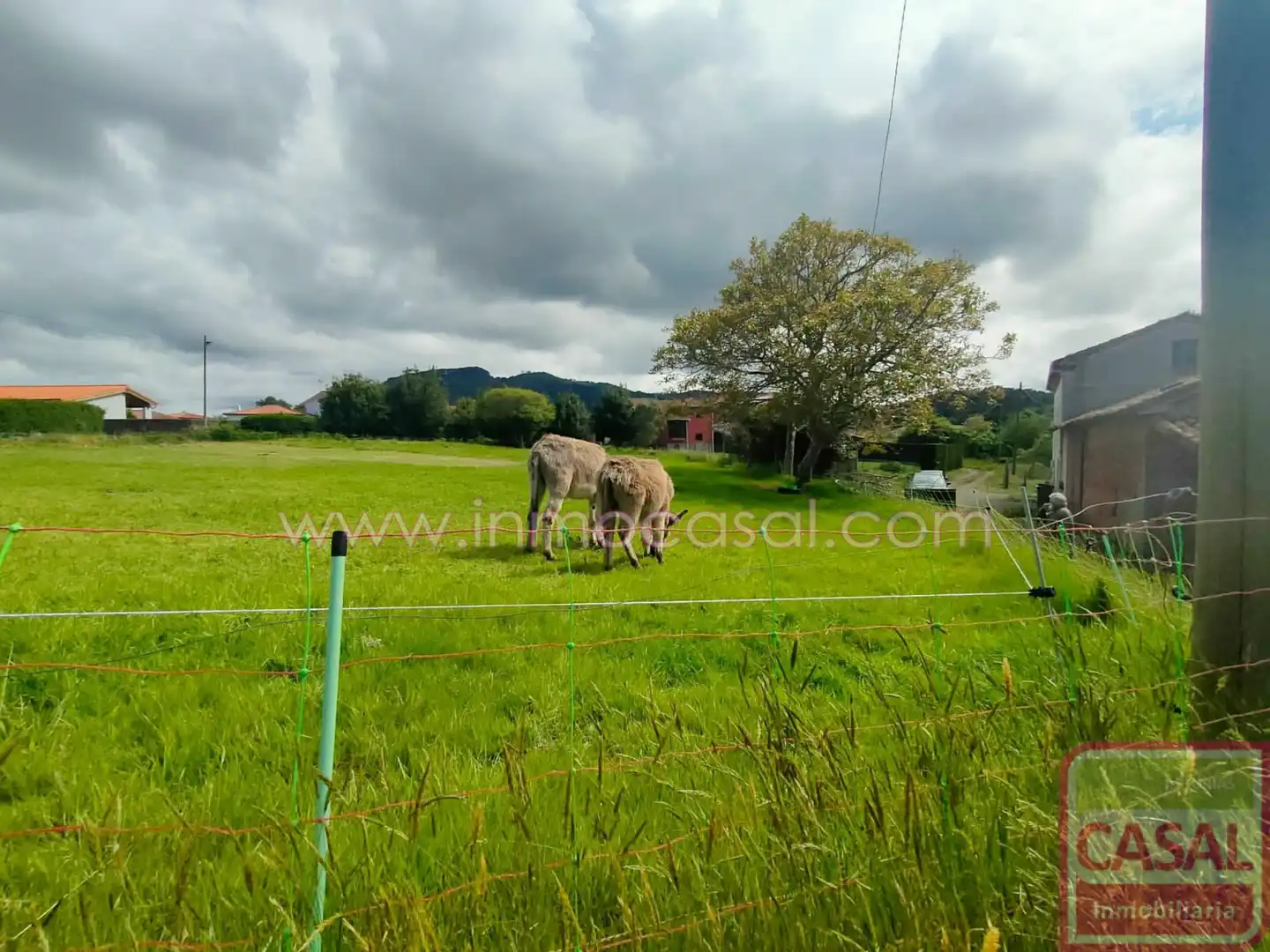 Terrenos y solares en venta en Cudillero, imagen 3