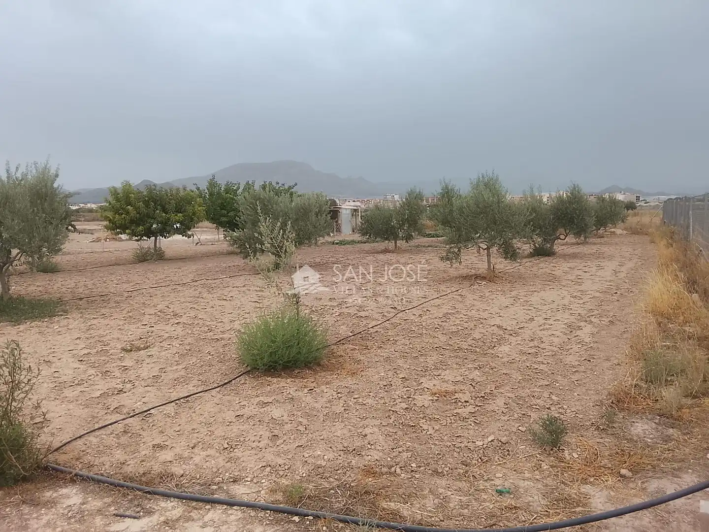 Terreno rústico en venta en Monforte del Cid