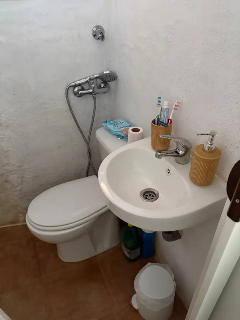 Baño de Finca rústica en venta en Santa María de Guía de Gran Canaria con Amueblado