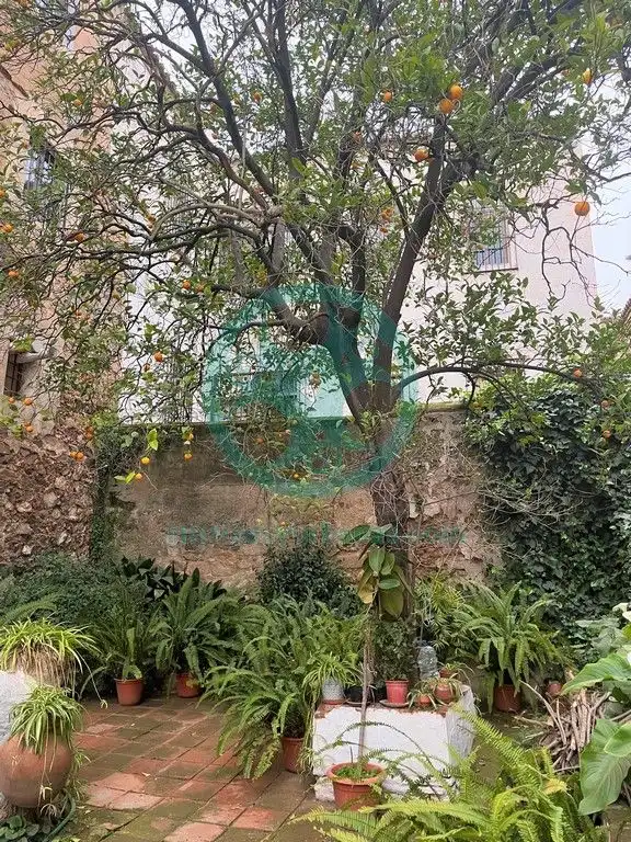 Casa en venta en Casco Antiguo, imagen 14