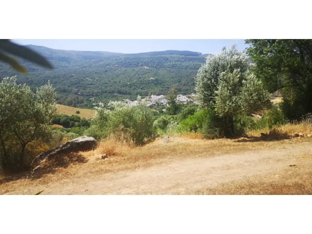 Casa rústica en venda a Gaucín, imagen 28