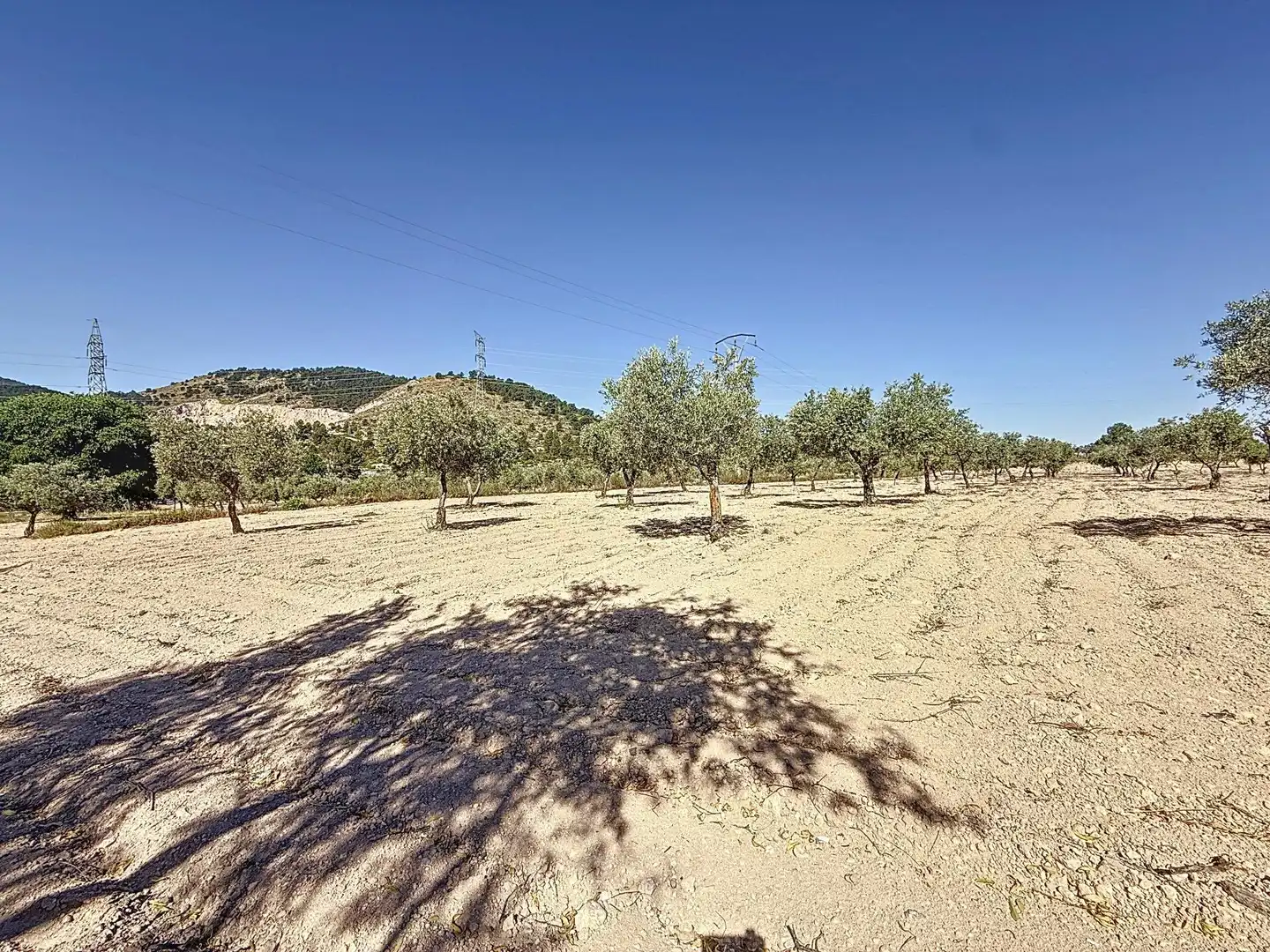 Terreno en venta en Biar