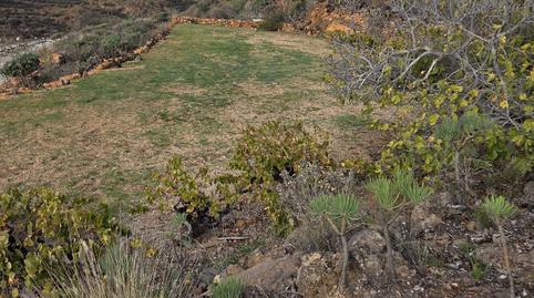 Foto 2 von Grundstücke zum Verkauf in Charco del Pino, Granadilla de Abona