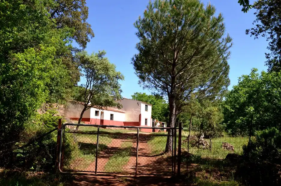 Terreni e lotti in vendita a Castaño del Robledo, imagen 32