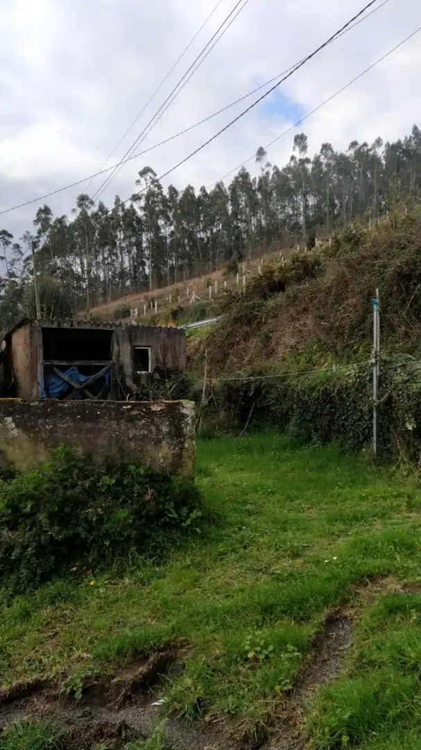 Casa amb jardí en venda a Figueiroa 18, imagen 8