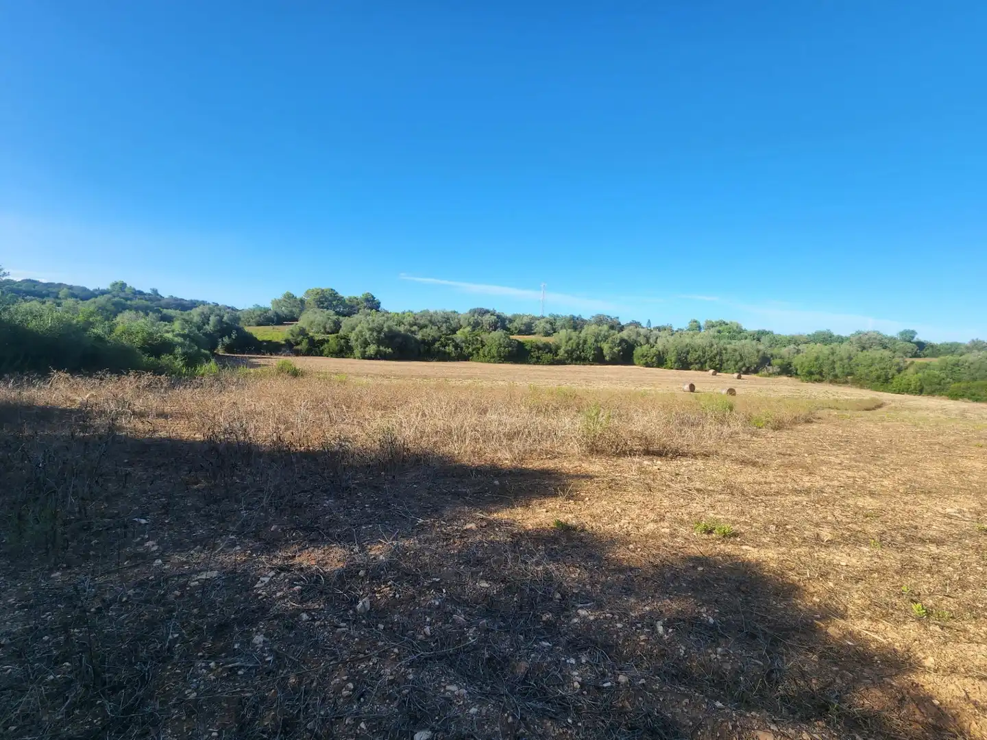Terreny rústic en venda a Polígono Polígono Diez