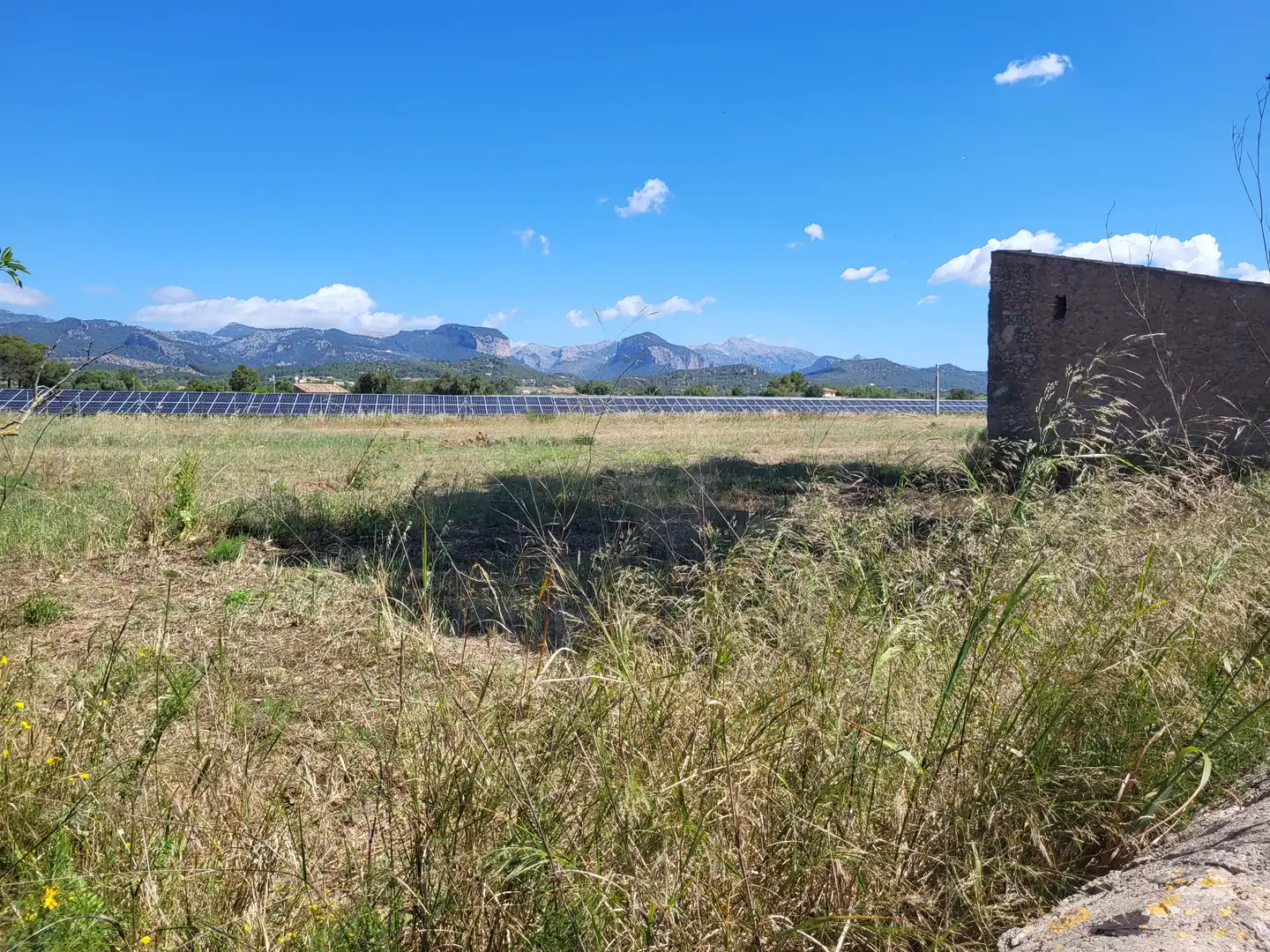 Terrain rustique à vendre à Polígono 2 Parcela 1, imagen 31