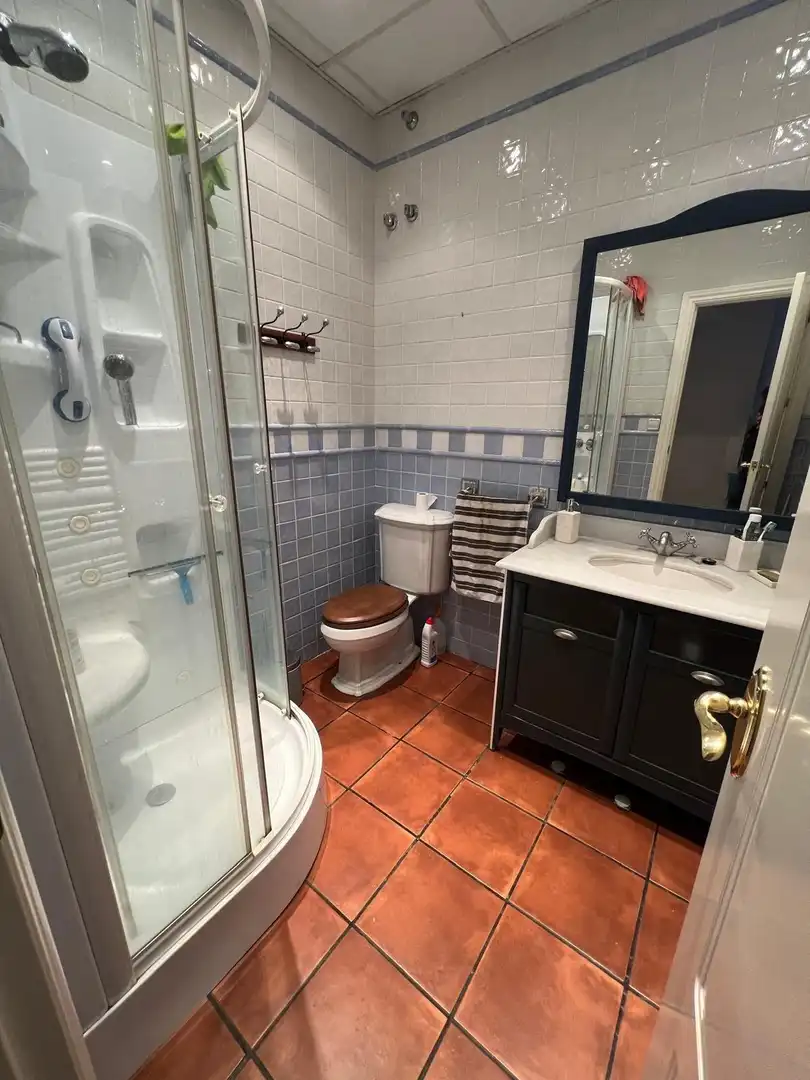 Baño de Apartamento de alquiler en Sevilla con Aire acondicionado, Terraza y Amueblado