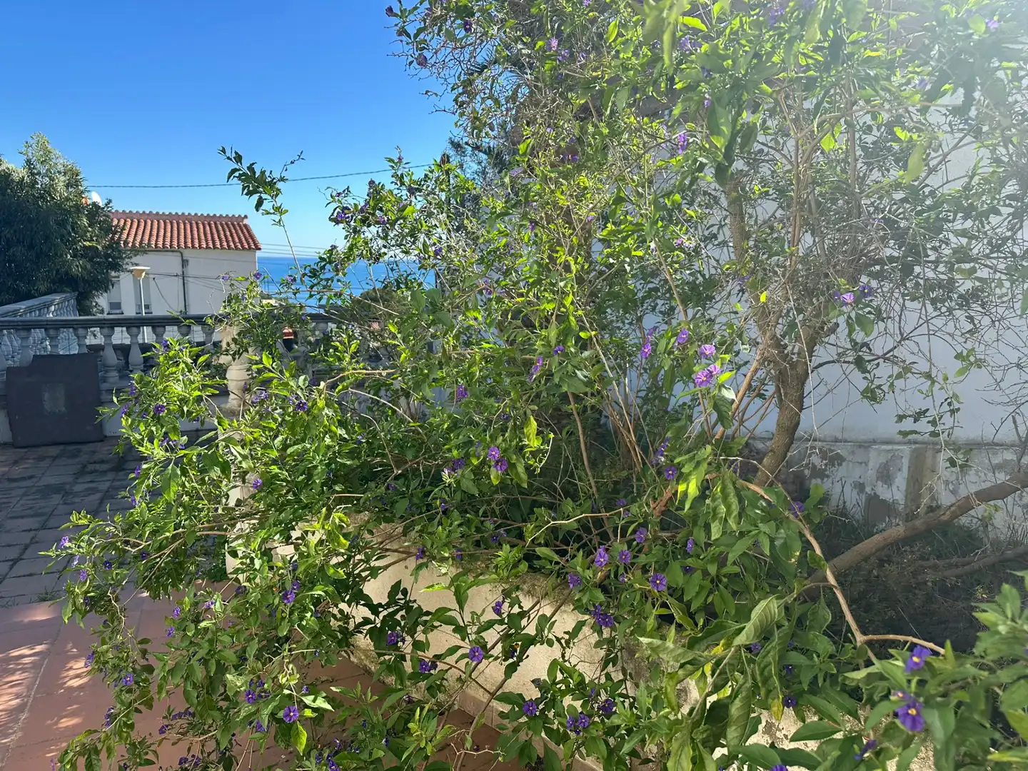Villa mit Pool zum Verkauf in Carrer Ribagorça, imagen 32