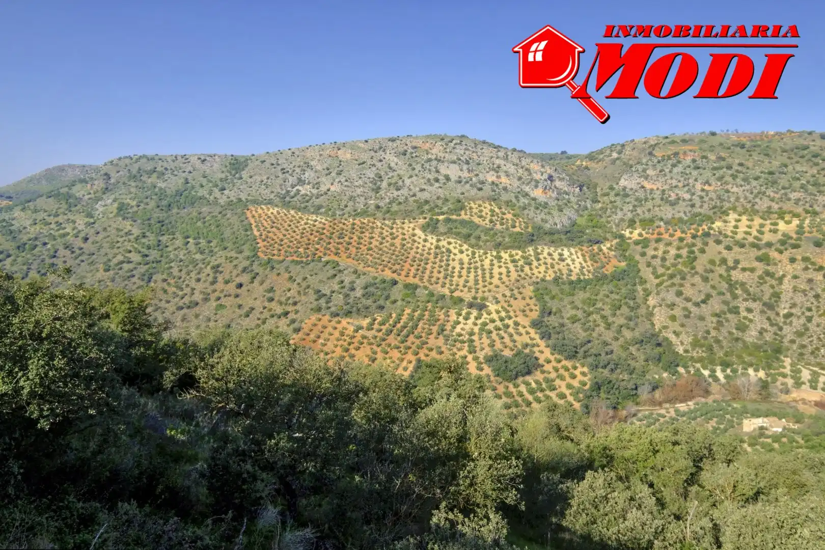 Terreni e lotti in vendita a Padul, imagen 5