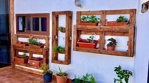 Photo 5 of Houses for sale in Las Playitas, Tuineje