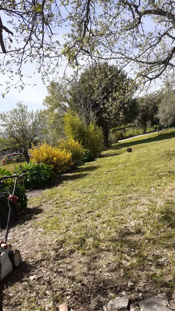 Garden of Land for sale in Jarandilla de la Vera
