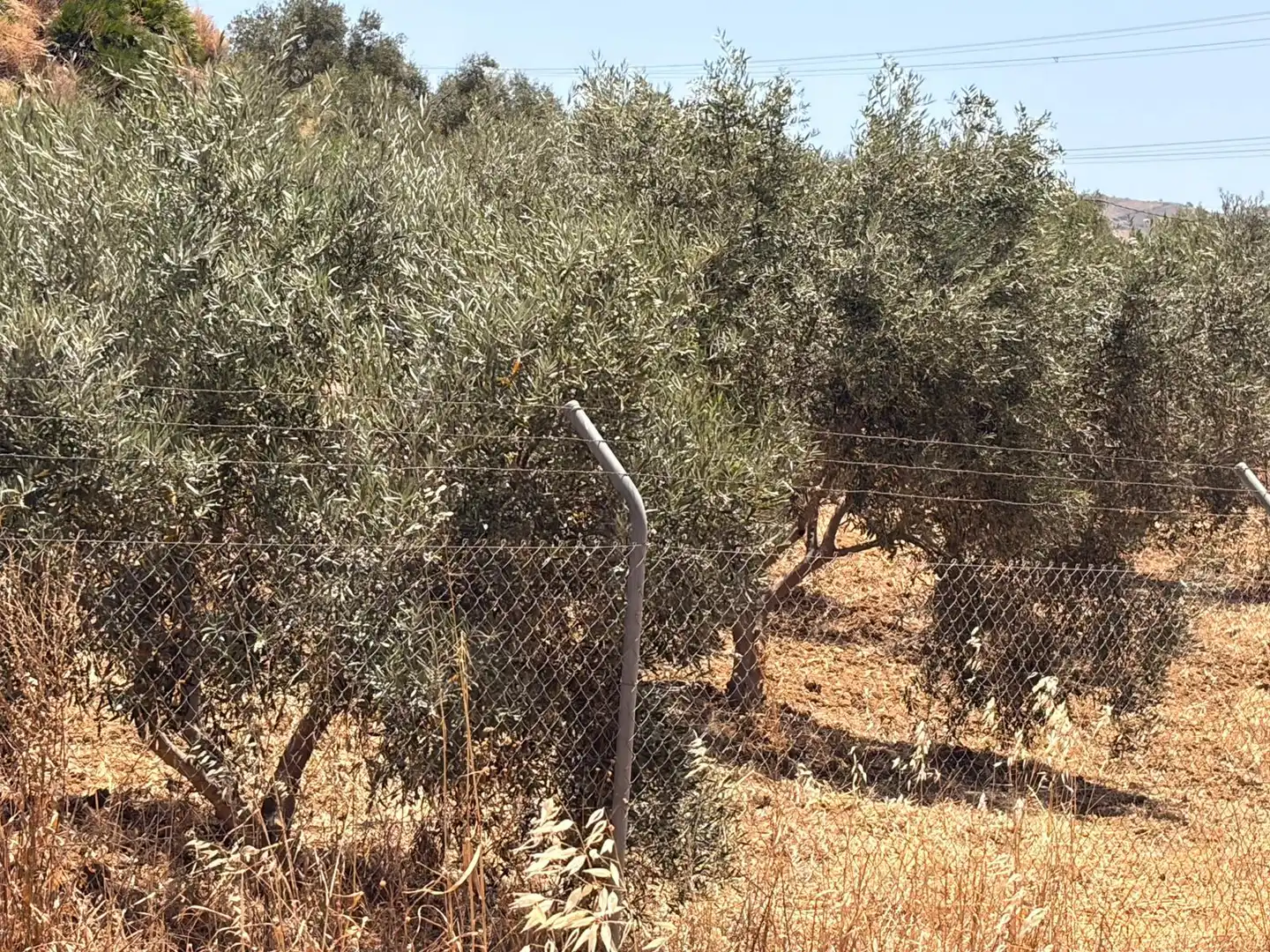 Terreno en venta en N/A, Álora
