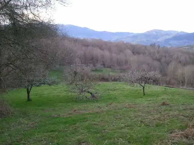 Casa in vendita a Granda, imagen 14