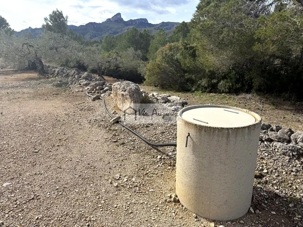 Terreno rustico in vendita a Burgà, imagen 14