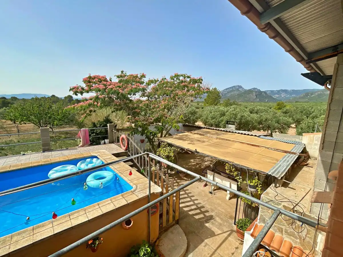 Jardí de Casa o xalet en venda en Xerta amb Terrassa