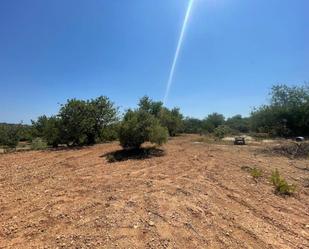 Terreny en venda en La Pobla de Montornès  