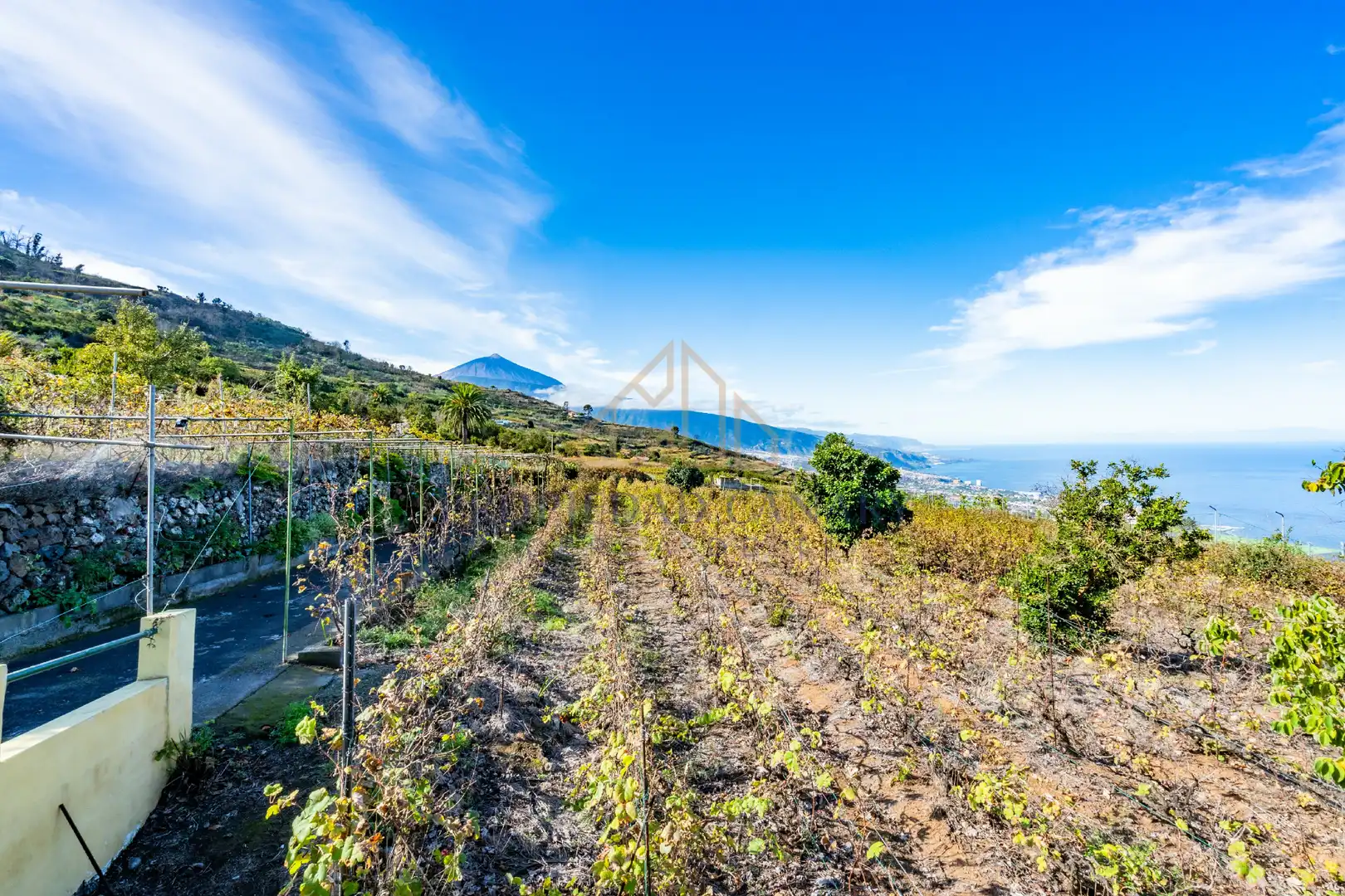 Finca rústica en venda en Santa Úrsula amb Terrassa