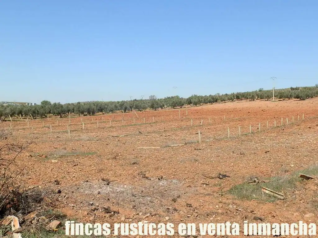 Rural land for sale in Valdepeñas, imagen 23
