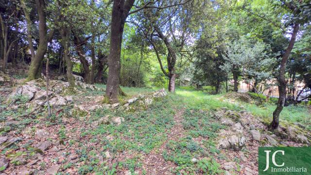 Terreno en Venta en El Callejo - La Pesquera - La Arenosa