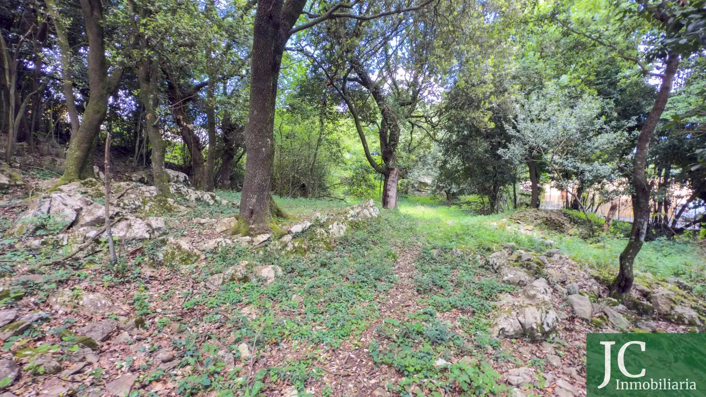 Terreny rústic en venda a El Callejo - La Pesquera - La Arenosa