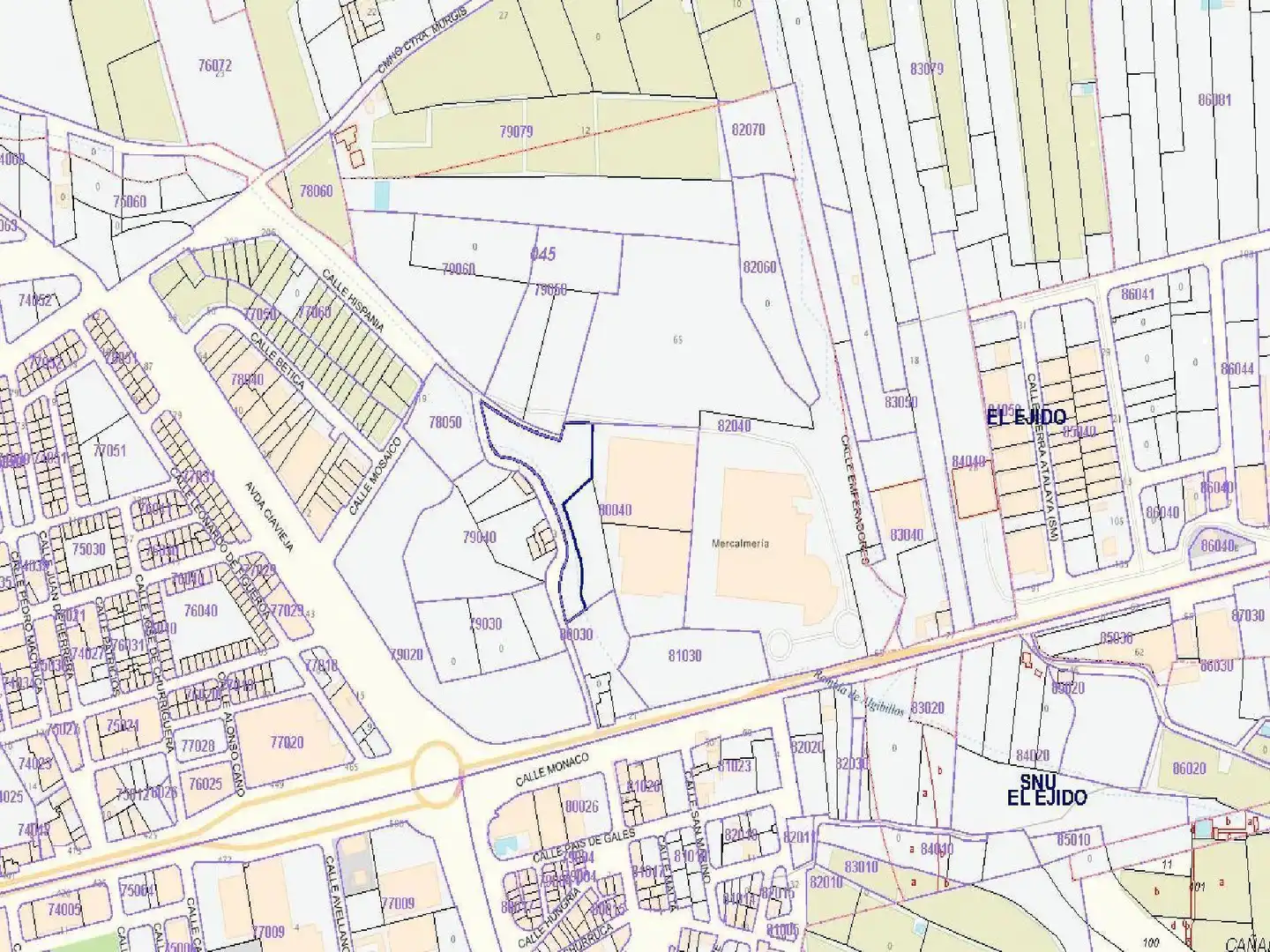 Terrenos y solares en venta en El Ejido Ciudad, imagen 4
