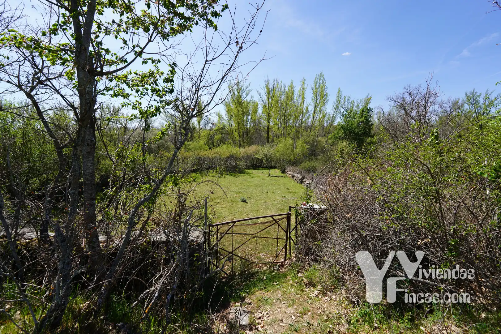Terreno rústico en venta en Campillo de Ranas, imagen 9