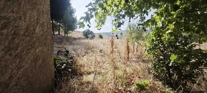 Casa o chalet en venta en Camino DISEMINADOS, Torralba de Ribota