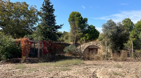 Magnífica finca rústica amb cabana de volta, immagine 5