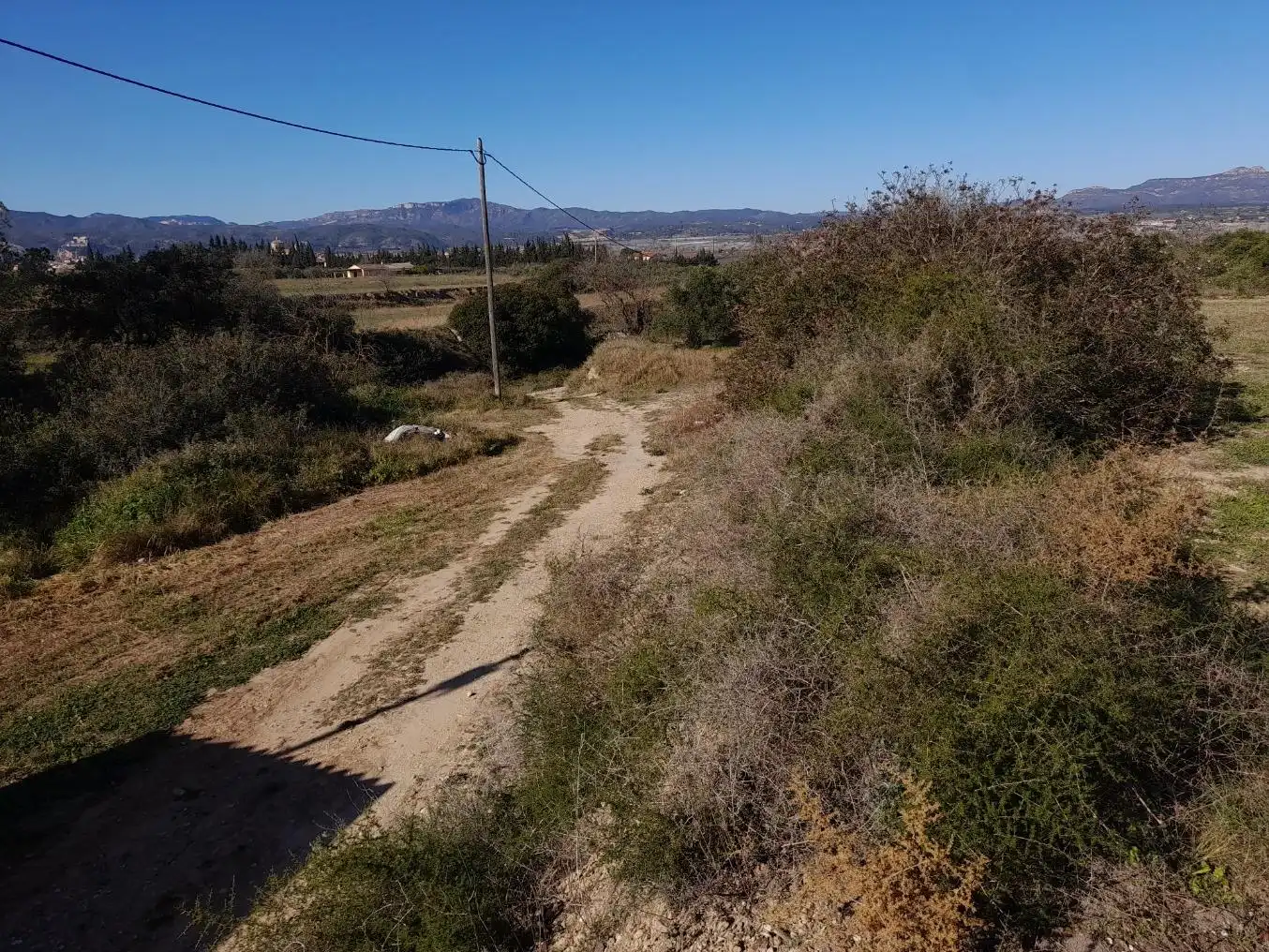 Rural land for sale in Ginestar, imagen 12