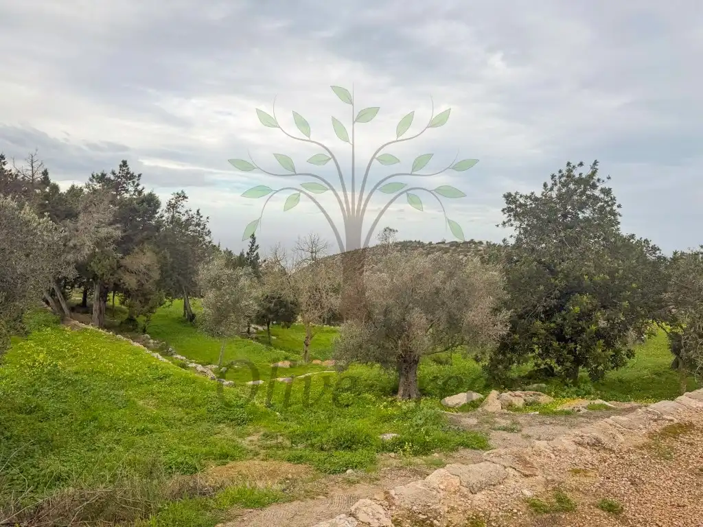 Houses for rent in Sant Joan de Labritja  with Swimming Pool
