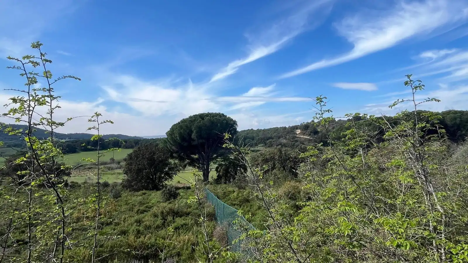Terreny rústic en venda a Sant Climent Sescebes, imagen 22