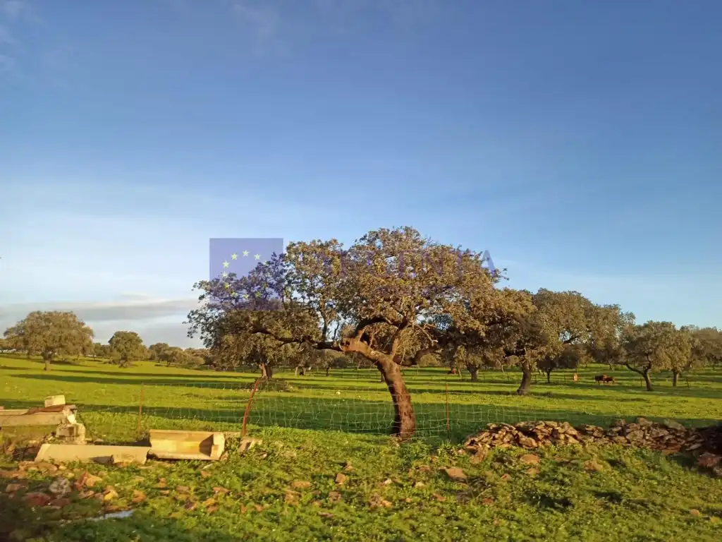 Casa o chalet en venta en Norte
