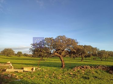 Casa en venta en Norte
