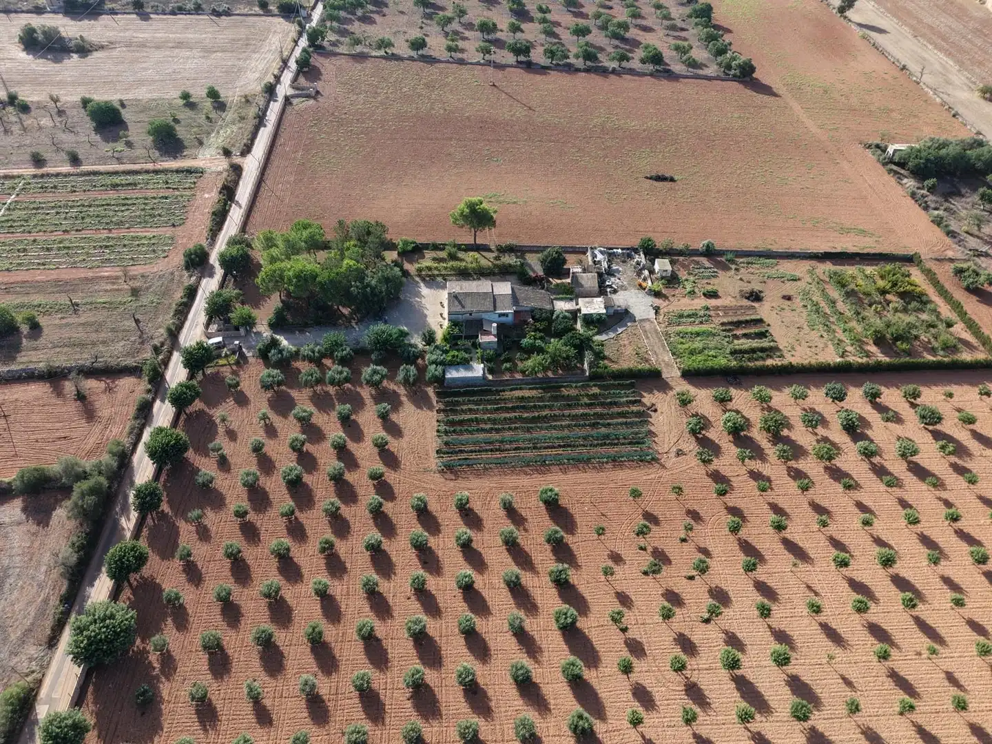 Country homes for sale in Felanitx Poble
