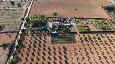 Photo 5 of Country homes for sale in Felanitx Poble, Felanitx